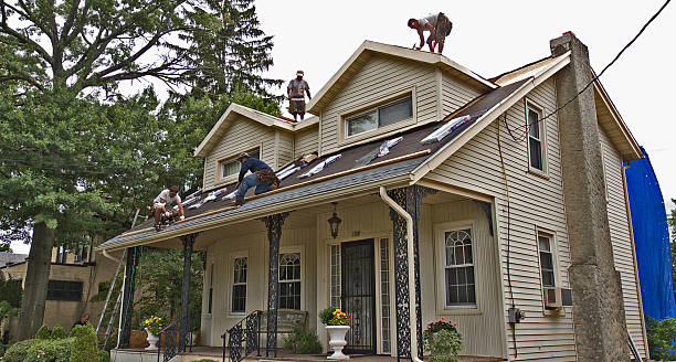 Best Roof Leak Repair  in Cortland, NY